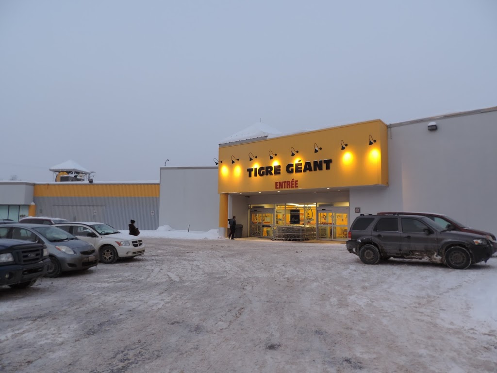 Tigre Géant | 451 Rue Léonard, Sainte-Agathe-des-Monts, QC J8C 2Y5, Canada | Phone: (819) 326-9099