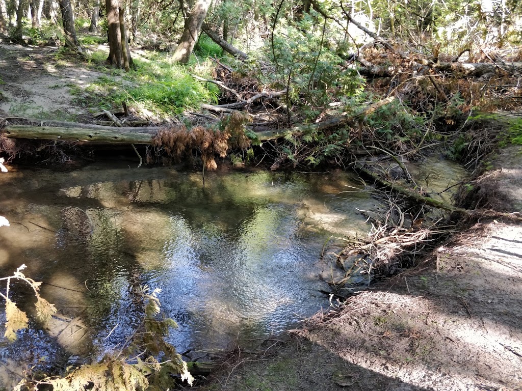 Naftels Creek Conservation Area | 79154 Bluewater Hwy, Goderich, ON N7A 3X8, Canada