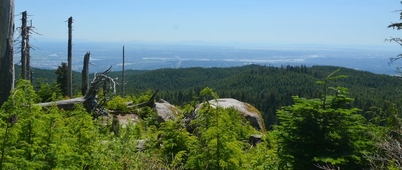 White Rock Viewpoint | 49, 343287, 122, 820595, Coquitlam, BC N0K 1X0, Canada