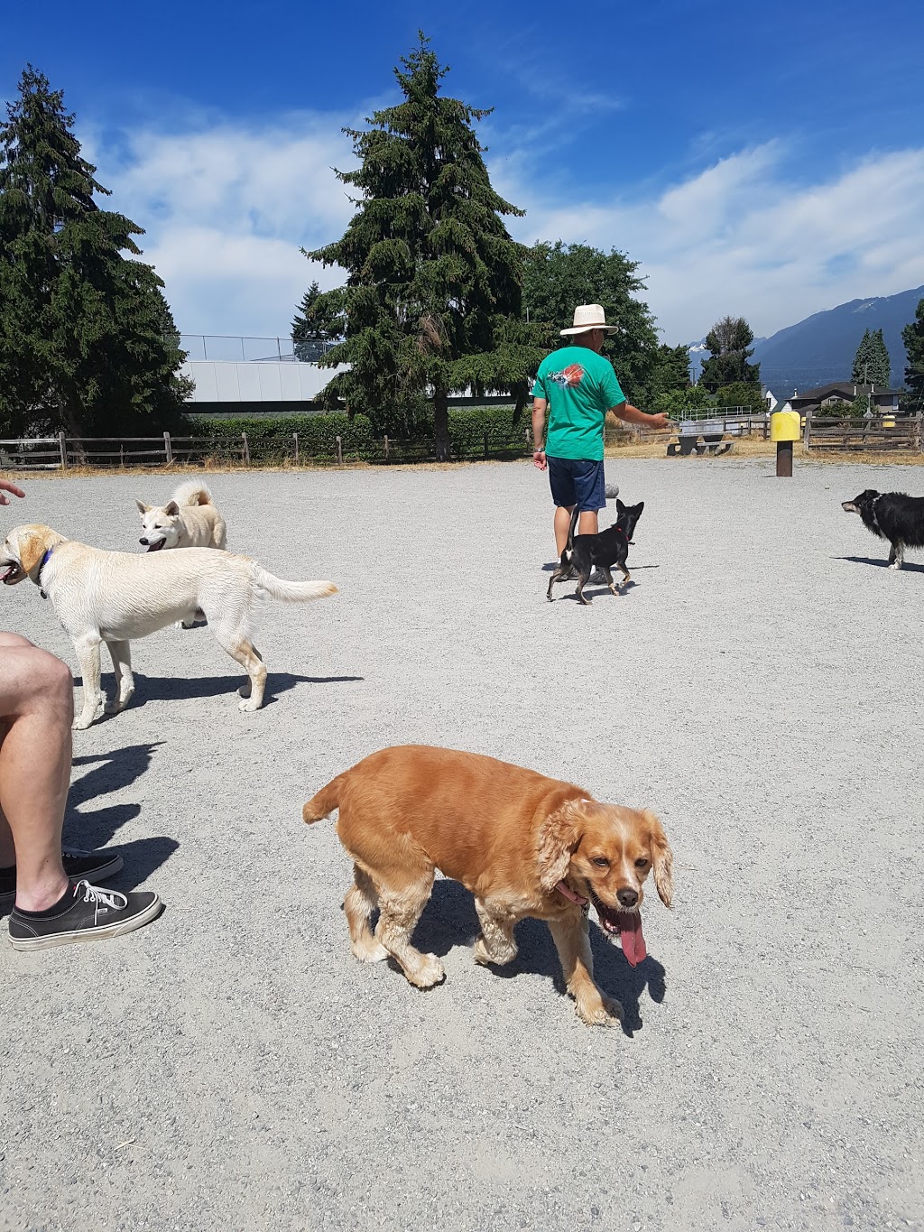 Burnaby Heights Park Off-Leash Enclosure | 416 N Ingleton Ave, Burnaby, BC V5C 1T3, Canada | Phone: (604) 294-7450