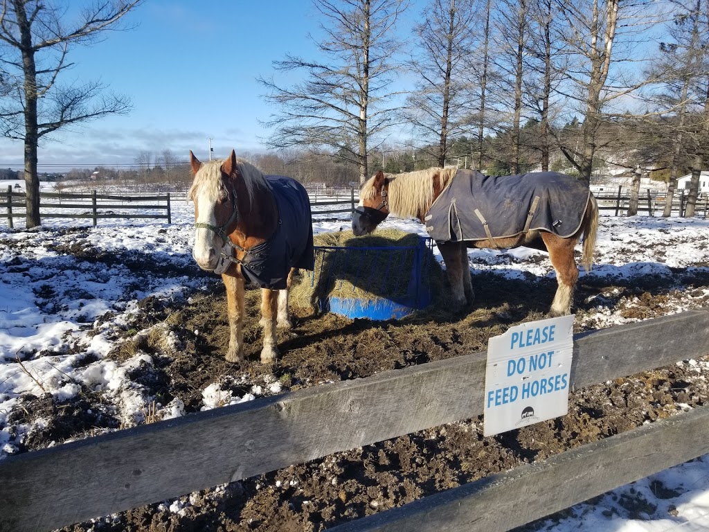 Stoneleigh Farms Ltd | Skyline Deerhurst Resort, 2 Turnbull Ln, Huntsville, ON P1H 1A9, Canada | Phone: (705) 788-6665