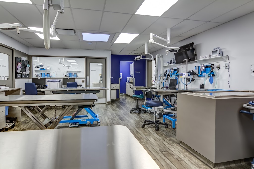 Hôpital Vétérinaire Carcajou | 215 Av. du Pont S, Alma, QC G8B 2T7, Canada | Phone: (418) 669-2222