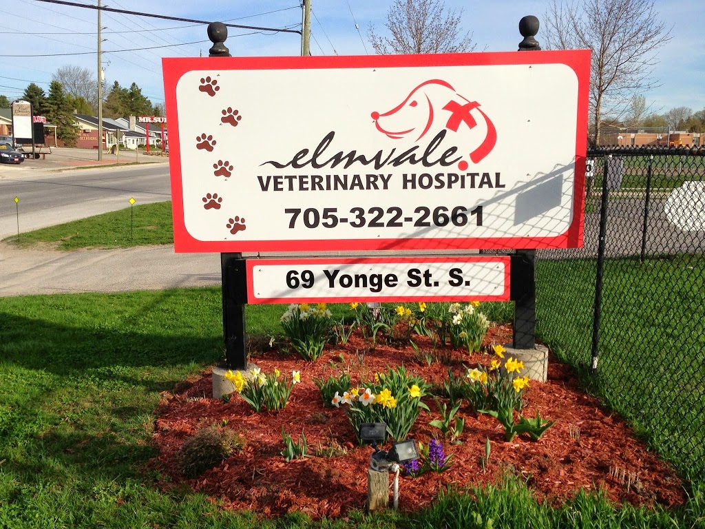 Elmvale Veterinary Hospital | 69 Yonge St S, Elmvale, ON L0L 1P0, Canada | Phone: (705) 322-2661