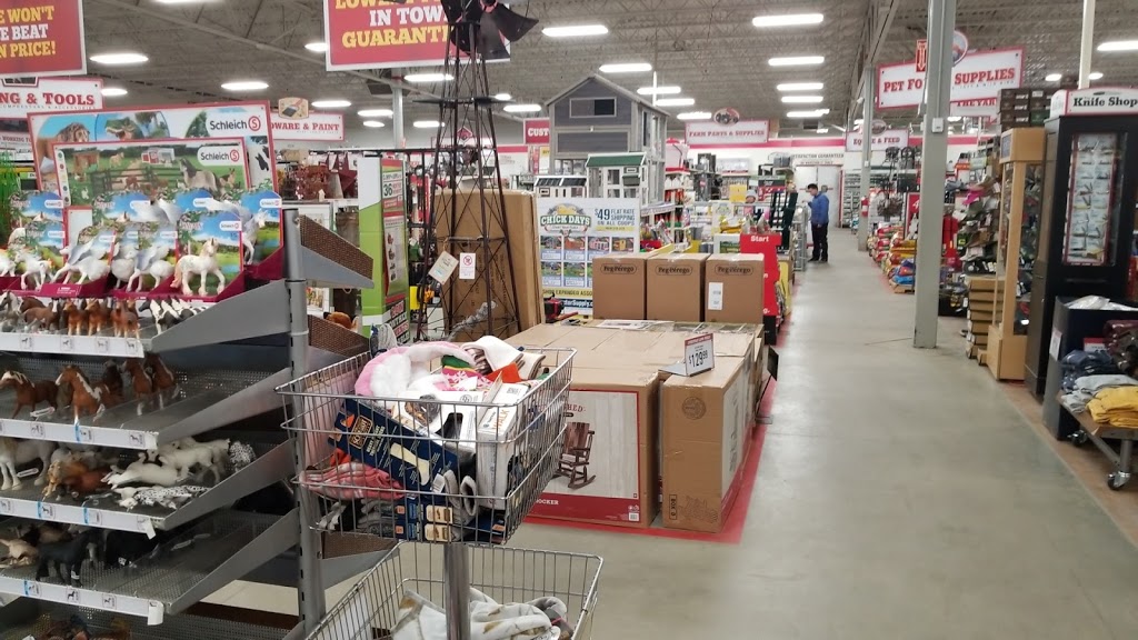 Tractor Supply Co. | 57155 Gratiot Ave, New Haven, MI 48048, USA | Phone: (586) 749-6162