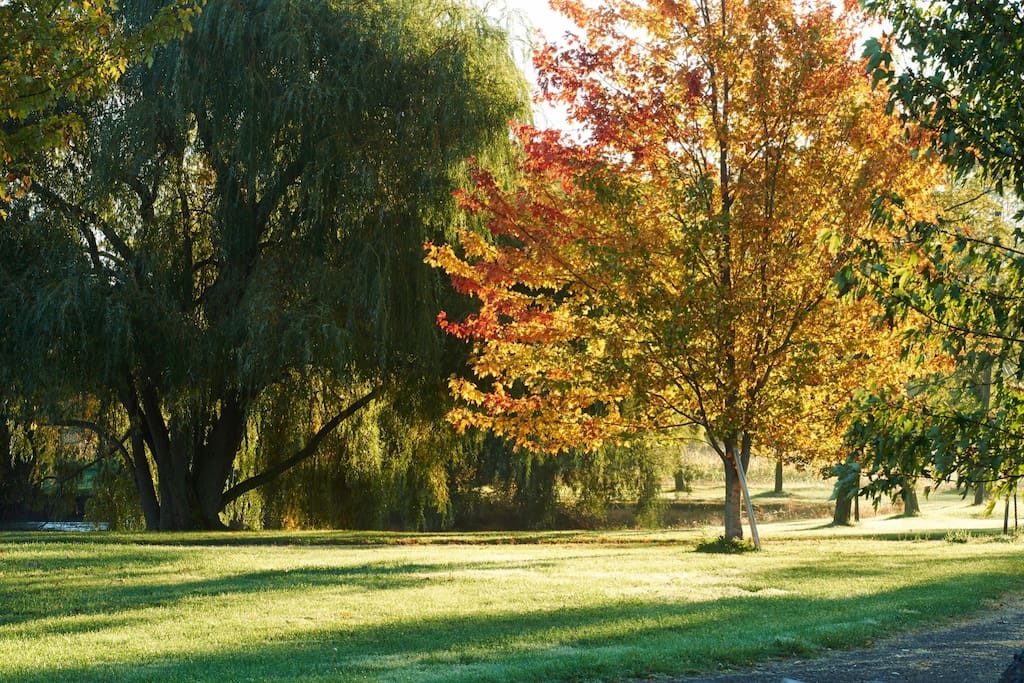 Ray’s Farm | 4244 Firelane 17, Sherkston, ON L0S 1R0, Canada | Phone: (289) 668-5530