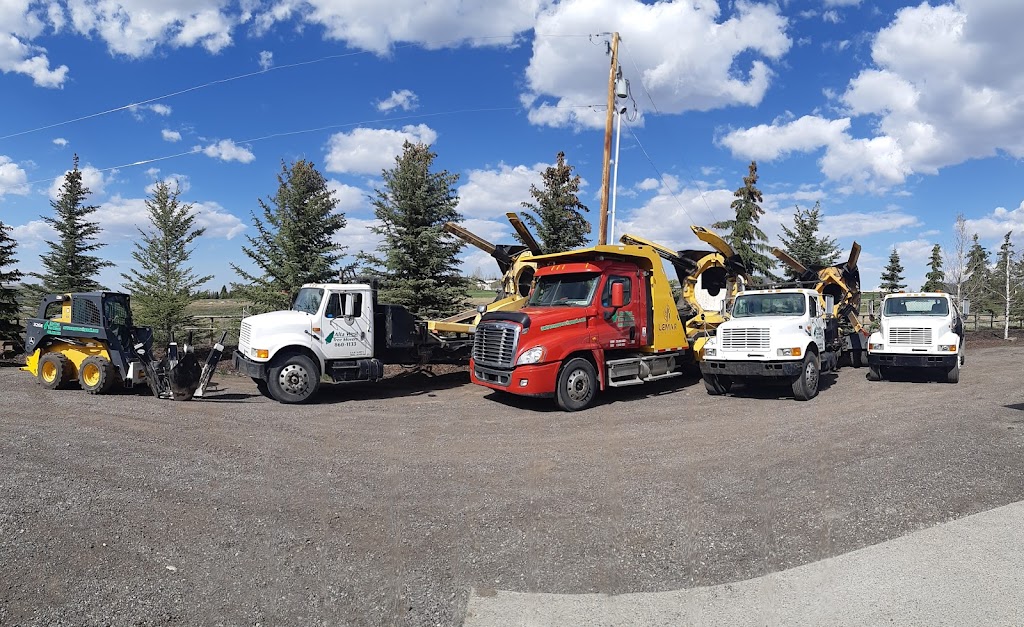 Alta West Tree Movers | RR 1 Stn Main, Okotoks, AB T1S 1A1, Canada | Phone: (403) 860-1133