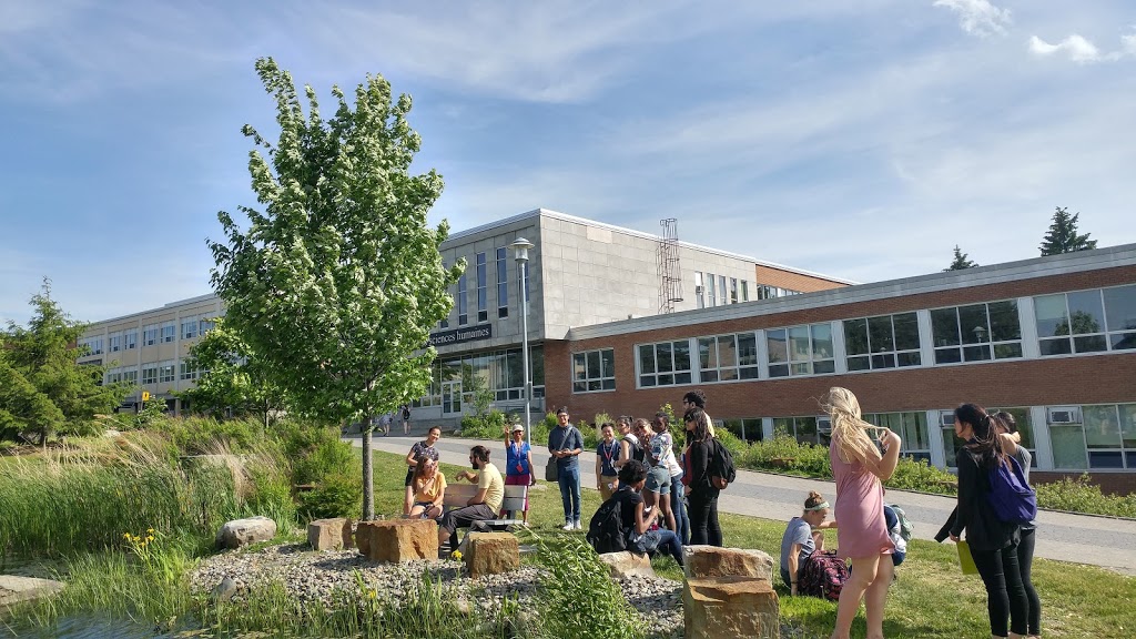 School Dété De Français | 2500, boulevard de lUniversité Centre de langues, Faculté des lettres et sciences humaines (C.P. 128), Sherbrooke, QC J1K 2R1, Canada | Phone: (819) 821-7940