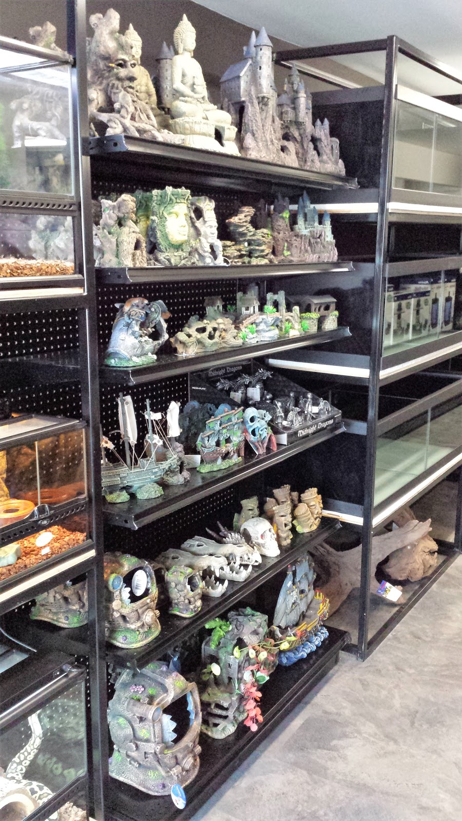 Oasis Fish & Reptile Ltd. | 8 Riel Dr #6, St. Albert, AB T8N 3Z7, Canada | Phone: (780) 458-0039