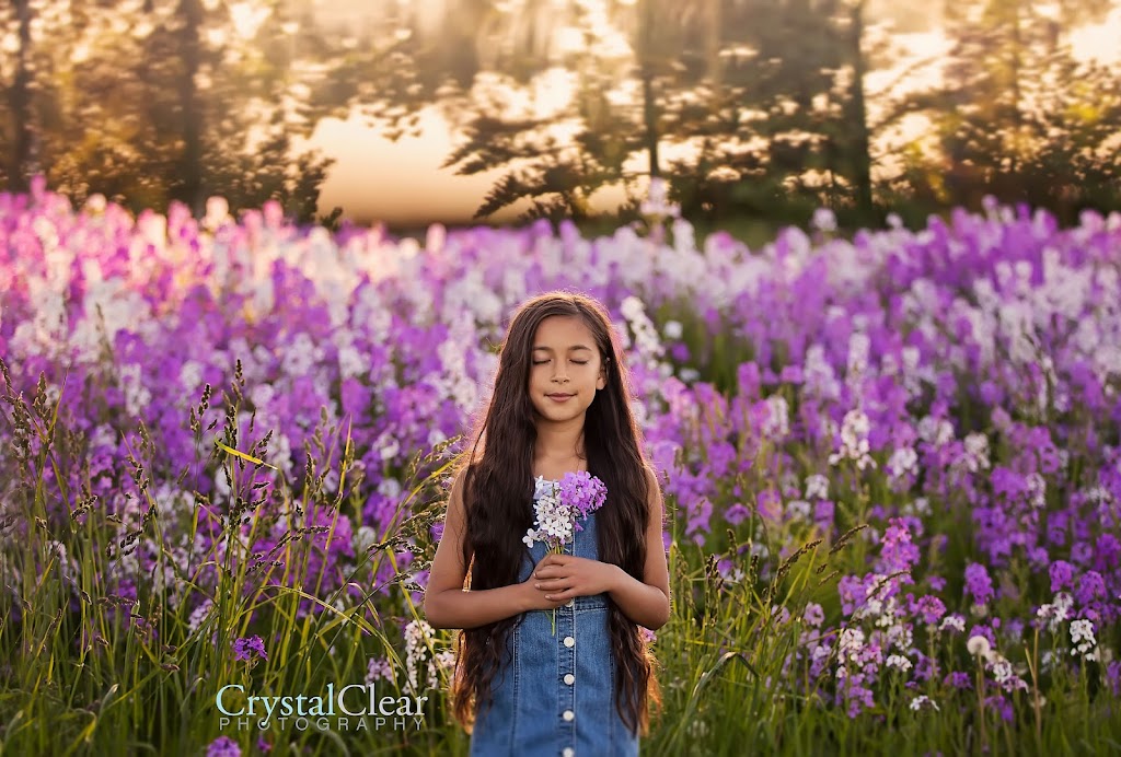 Crystal Clear Photography | 3405 Primrose St, Cumberland, BC V0R 1S0, Canada | Phone: (250) 792-2575