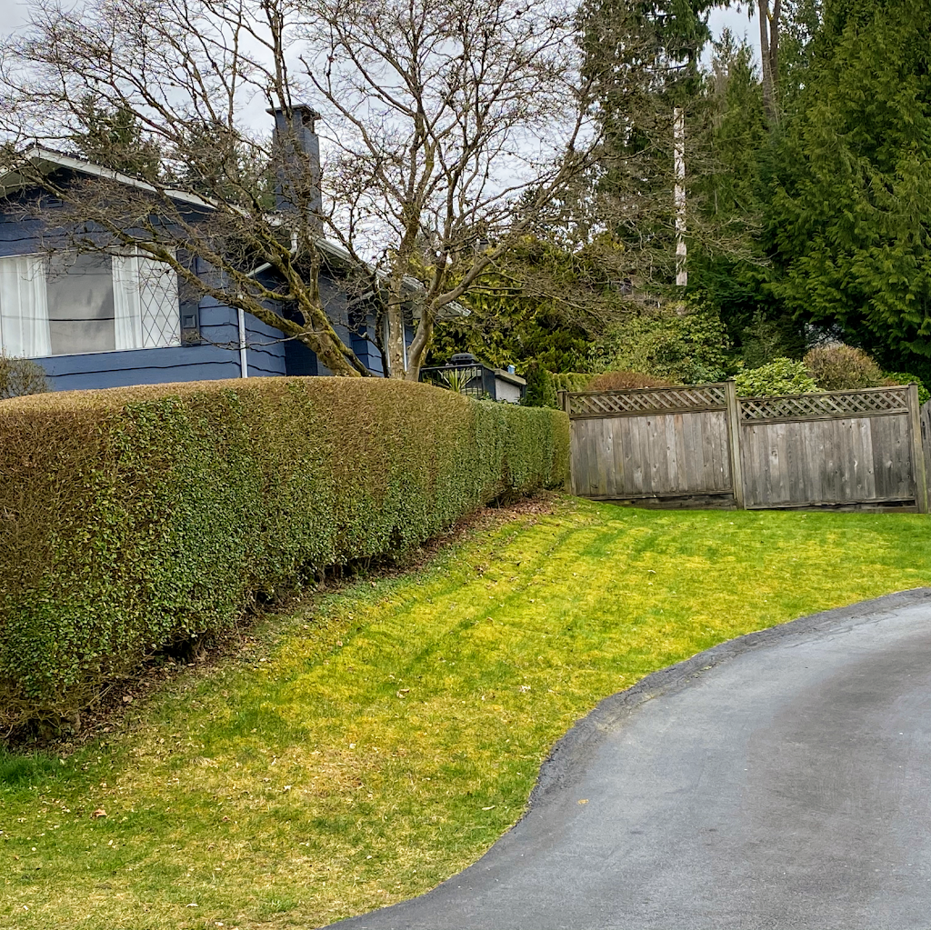 Augusta Lawn Care of Coquitlam | 2340 Lobb Ave, Port Coquitlam, BC V3C 1M8, Canada | Phone: (604) 549-5822