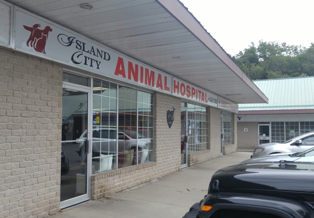 Island City Animal Hospital | 1275 Kensington Pkwy Unit 14, Brockville, ON K6V 6C3, Canada | Phone: (613) 345-7388