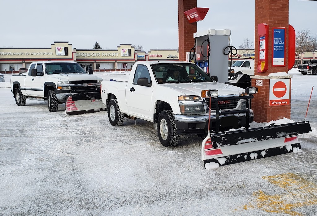 Snow To Go Removal | 23 Leston Pl, Winnipeg, MB R2N 1P3, Canada | Phone: (204) 290-5313