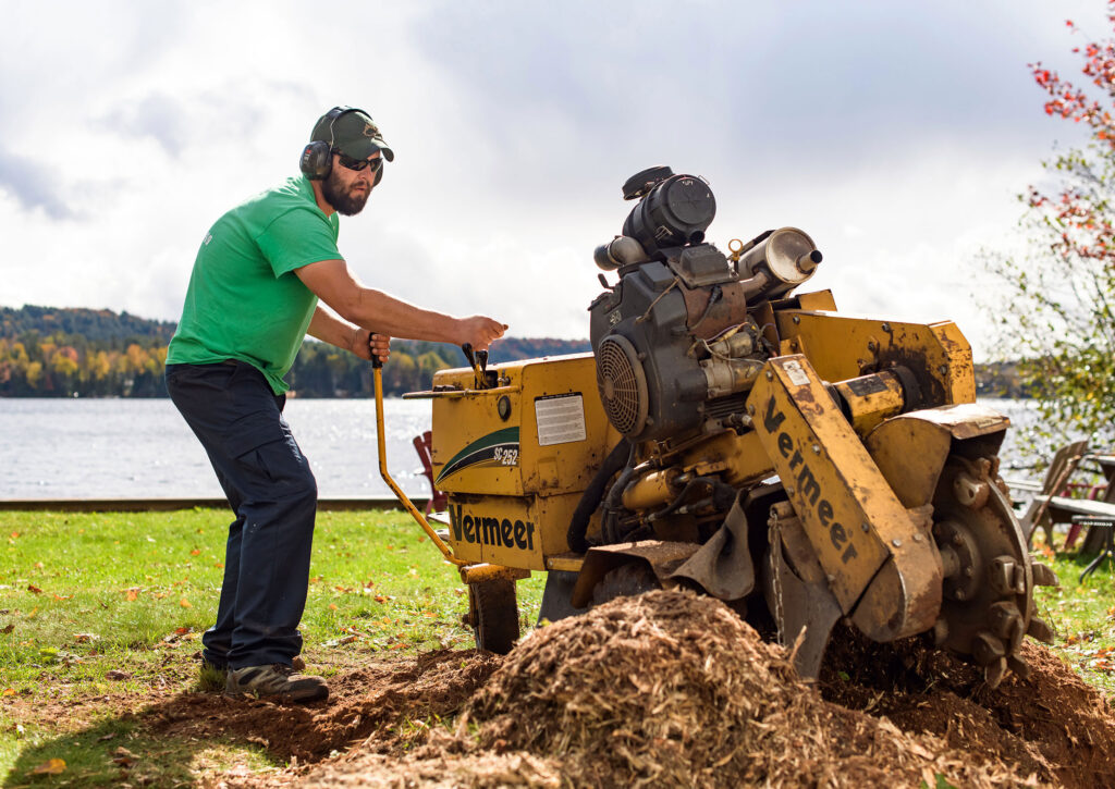 Grinder up Stumps | 83 Clearwater Lake Rd, Port Sydney, ON P0B 1L0, Canada | Phone: (705) 380-2169