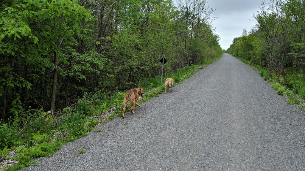 Springbank Trail | Almonte, Mississippi Mills, ON K0A 1A0, Canada