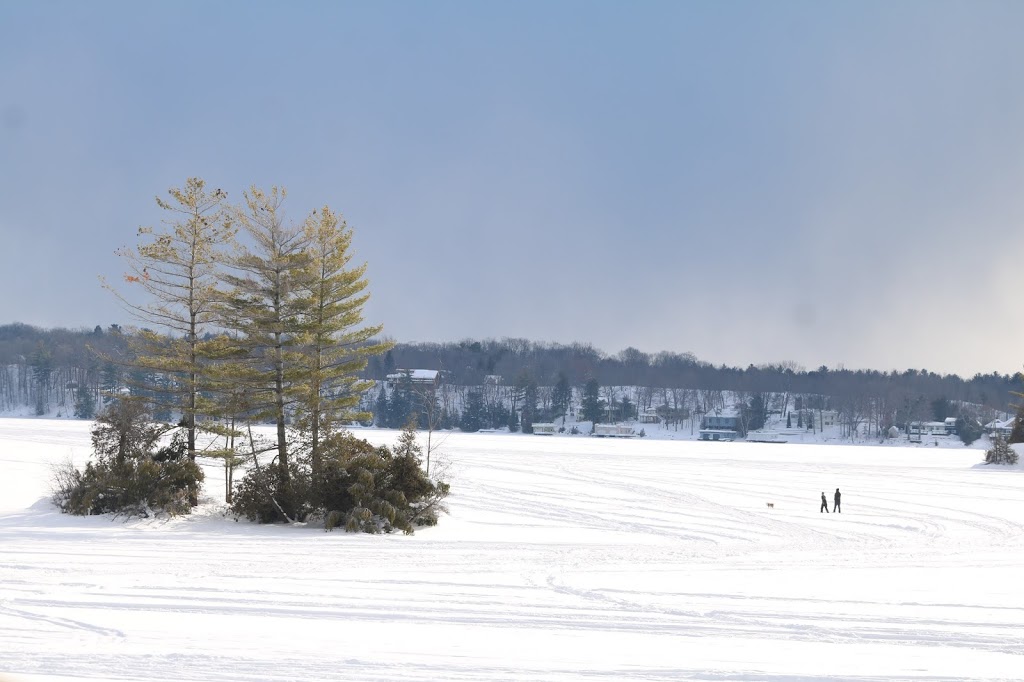 Lakeside Cottages Muskoka | 265 Lakeview Ave, Gravenhurst, ON P1P 1R4, Canada | Phone: (416) 371-9136