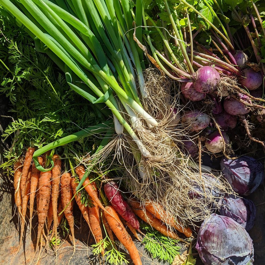 Les Jardins Perchés | 136 Route du Parc, Notre-Dame-des-Bois, QC J0B 2E0, Canada | Phone: (819) 235-8252