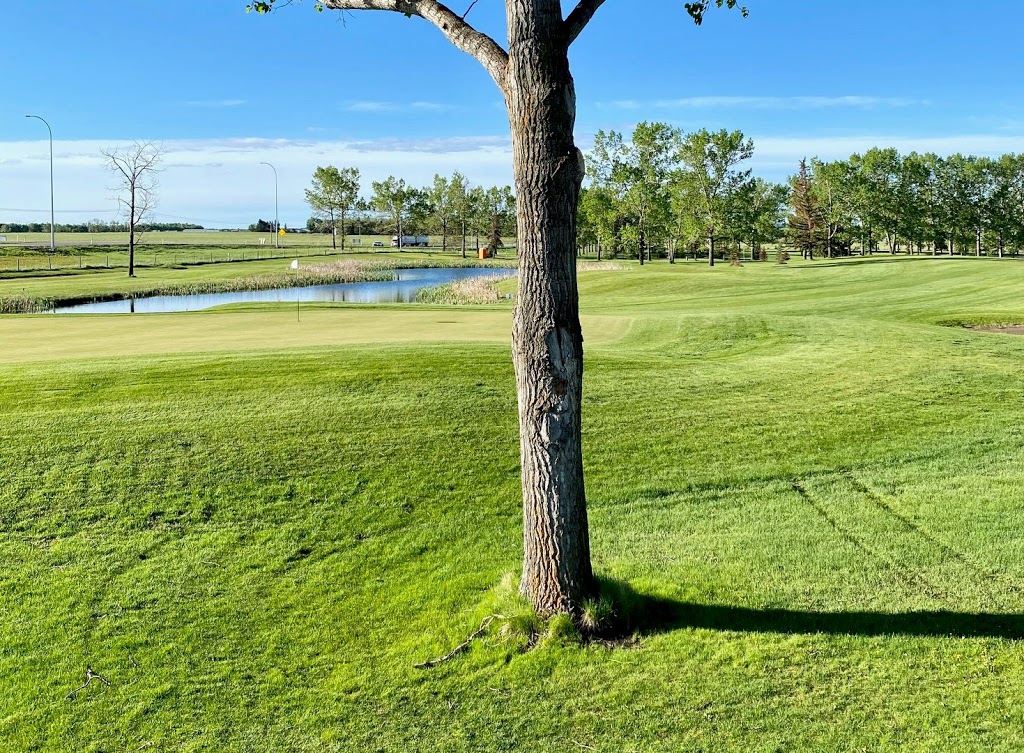 Bowden Hi-Way Golf Course | 2313 17 Ave, Bowden, AB T0M 0K0, Canada | Phone: (403) 224-2121