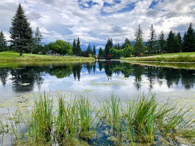 Shuswap Lake Golf Course at Blind Bay | 2404 Centennial Dr, Blind Bay, BC V0E 1H0, Canada | Phone: (250) 675-2315