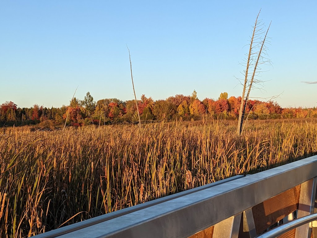 Parc-nature du Bois-de-LÎle-Bizard Grand walkway | LÎle-Bizard, Montreal, QC H9C 1P5, Canada | Phone: (514) 280-6778