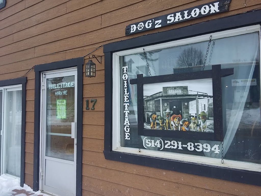 Dogz saloon | 9 Rue des Cèdres, Sainte-Marguerite-du-Lac-Masson, QC J0T 1L0, Canada | Phone: (514) 291-8394