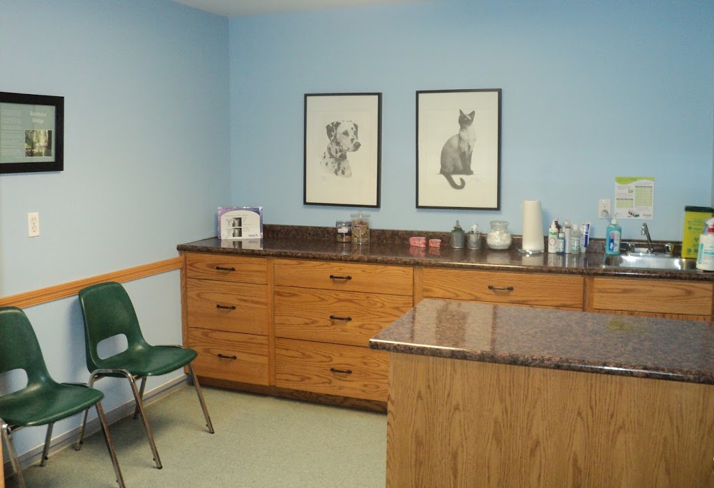 Mildmay Veterinary Clinic | 1342 ON-9, Mildmay, ON N0G 2J0, Canada | Phone: (519) 367-2691