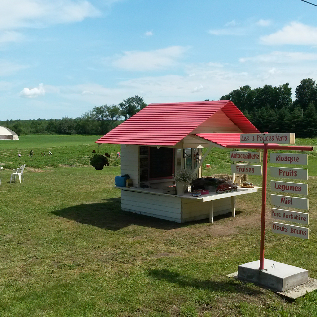 Ferme Les 3 Pouces Verts | 525 Chemin Chute, Cookshire-Eaton, QC J0B 1M0, Canada | Phone: (819) 919-1510