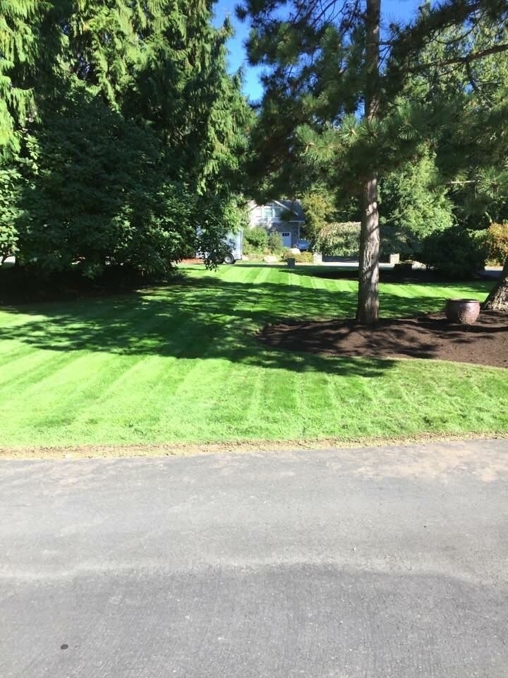 Terra Flourish Lawn & Garden Care Inc. | 2039 Ocean Ave W, Sidney, BC V8L 4S4, Canada | Phone: (250) 216-0020