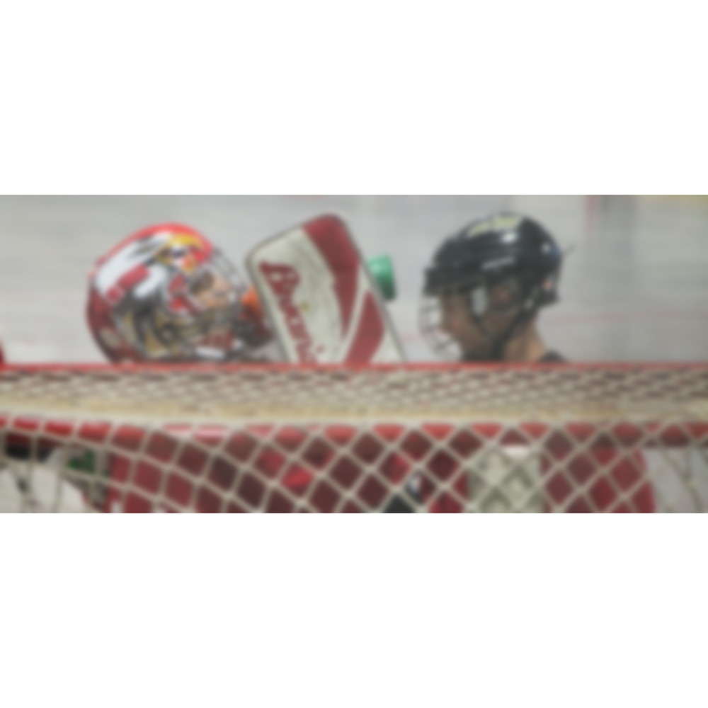 South Simcoe Ball Hockey Leagues | 1145 Innisfil Beach Rd, Innisfil, ON L9S 4B2, Canada | Phone: (416) 671-3893