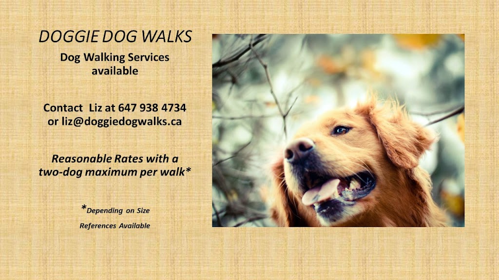 Doggiedogwalks | 352 Rhodes Ave, Toronto, ON M4L 3A3, Canada | Phone: (647) 938-4734