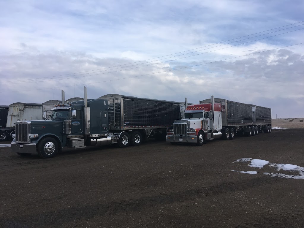 L Reimer Trucking Ltd | 2500 Township Rd 403, Linden, AB T0M 1J0, Canada | Phone: (403) 546-4190