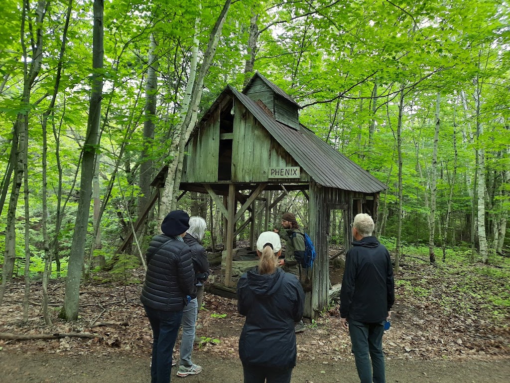 Forêt gourmande | 1350 Rue Principale, Petite-Rivière-Saint-François, QC G0A 2L0, Canada | Phone: (418) 617-9715