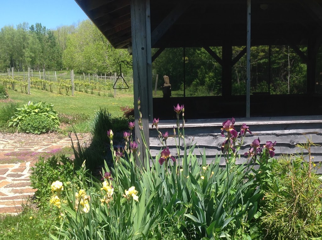 Elmwood Winery | 105 Craig Chandler Dr, Pine Grove, NS B4V 8A1, Canada | Phone: (902) 521-6759