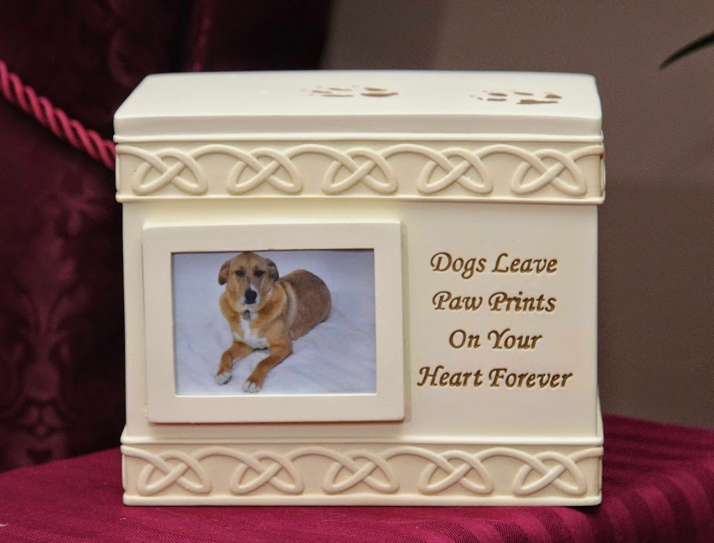Pet Heaven Funeral Home Inc | 3604 N Buffalo St, Orchard Park, NY 14127, USA | Phone: (716) 662-5677