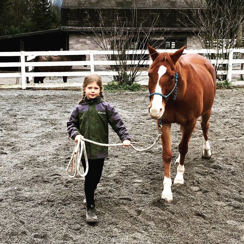 Liberty Farm - Dog & Horse Ranch | 25027 Robertson Crescent, Aldergrove, BC V4W 1W7, Canada | Phone: (604) 786-2570