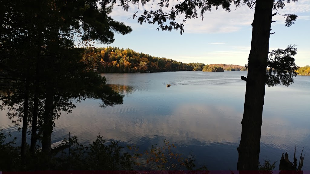 Palmerston Lake Campground | 1000 Park Hill Ln, Ompah, ON K0H 2J0, Canada | Phone: (416) 319-8845