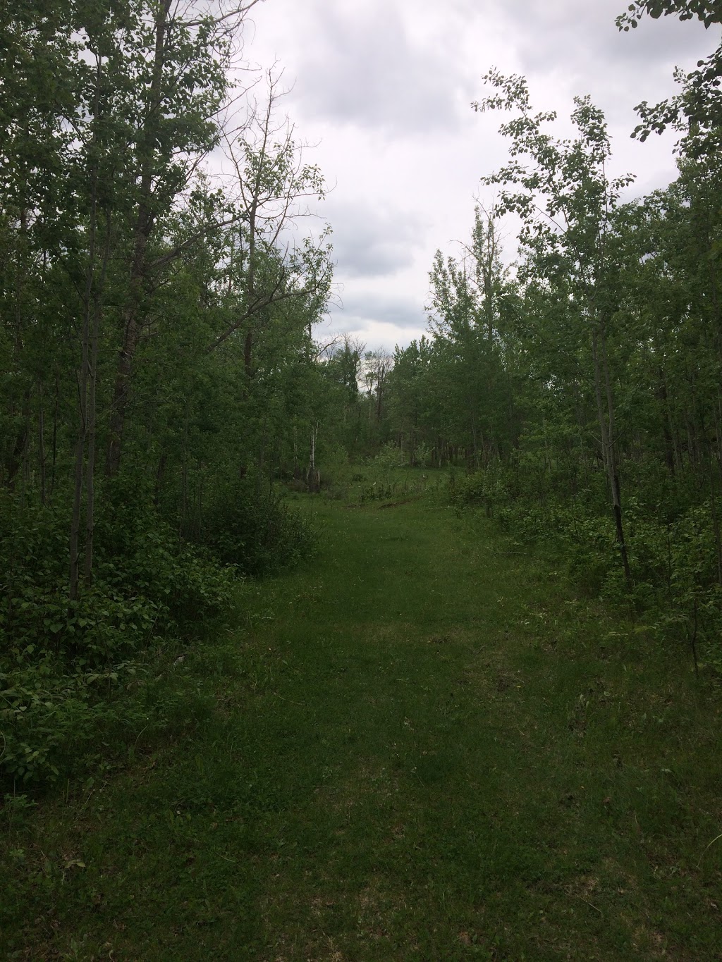 Hayburger trailhead # 1 - Elk Island National Park | Fort Saskatchewan, AB T8L 2N7, Canada | Phone: (780) 922-5790