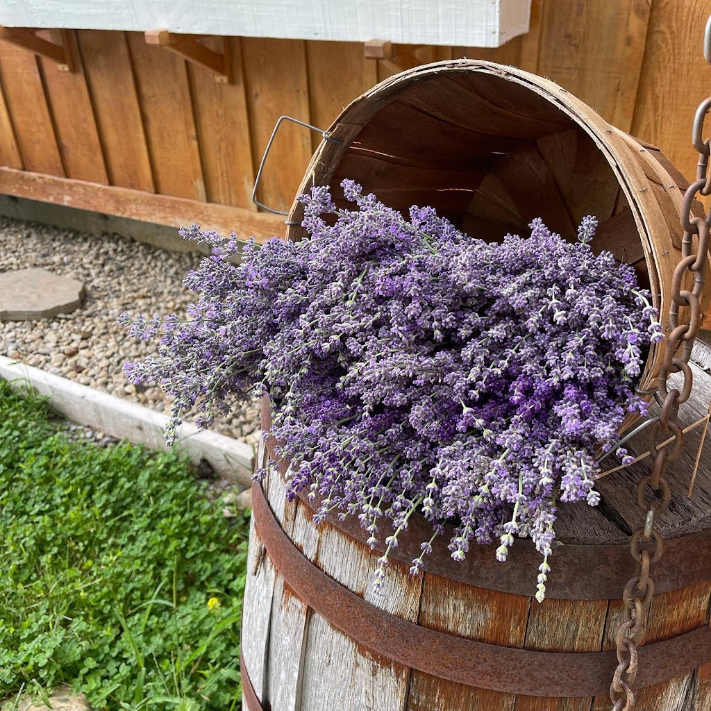 Les Jardins Arômes et Saveurs | 121 Rang du Pied de la Montagne, Sainte-Mélanie, QC J0K 3A0, Canada | Phone: (450) 898-6868