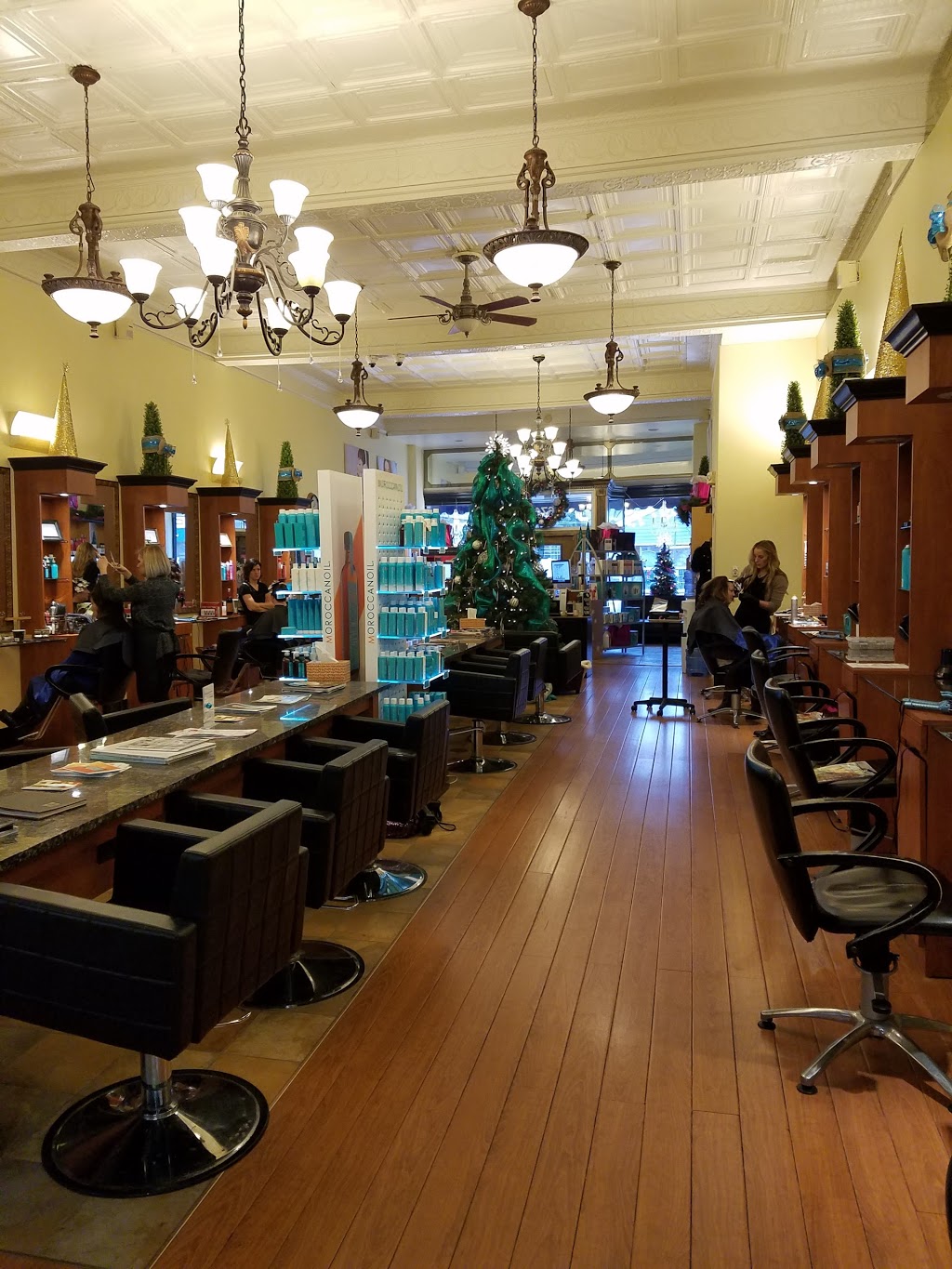 Cielo Salon | 674 Main St, East Aurora, NY 14052, USA | Phone: (716) 652-7633