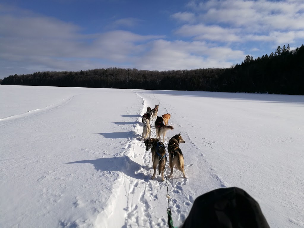 LES EXPÉDITIONS DES 100 LACS INC. | 247-295 Ave Principale, Saint-Élie-de-Caxton, QC G0X 2N0, Canada | Phone: (819) 852-3535