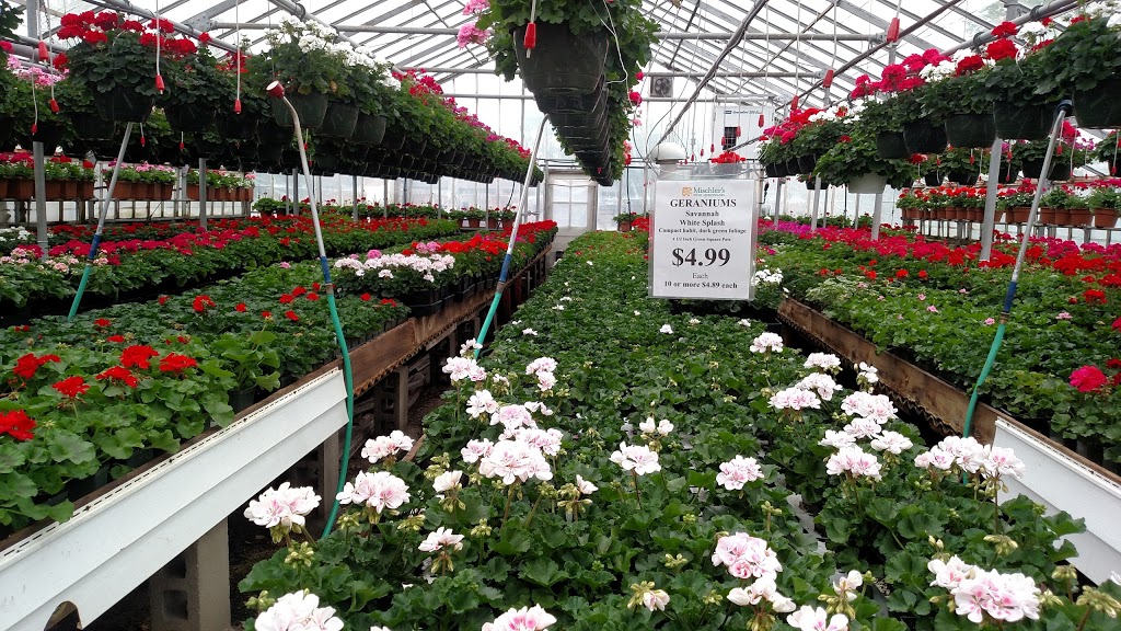 Mischlers Florist and Greenhouses | 118 S Forest Rd, Williamsville, NY 14221, USA | Phone: (716) 632-1290