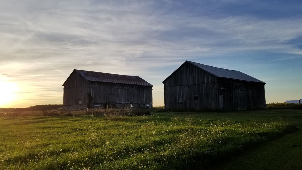 Sweetfields Farm | 11162 County Rd 10, Stayner, ON L0M 1S0, Canada | Phone: (705) 428-6609