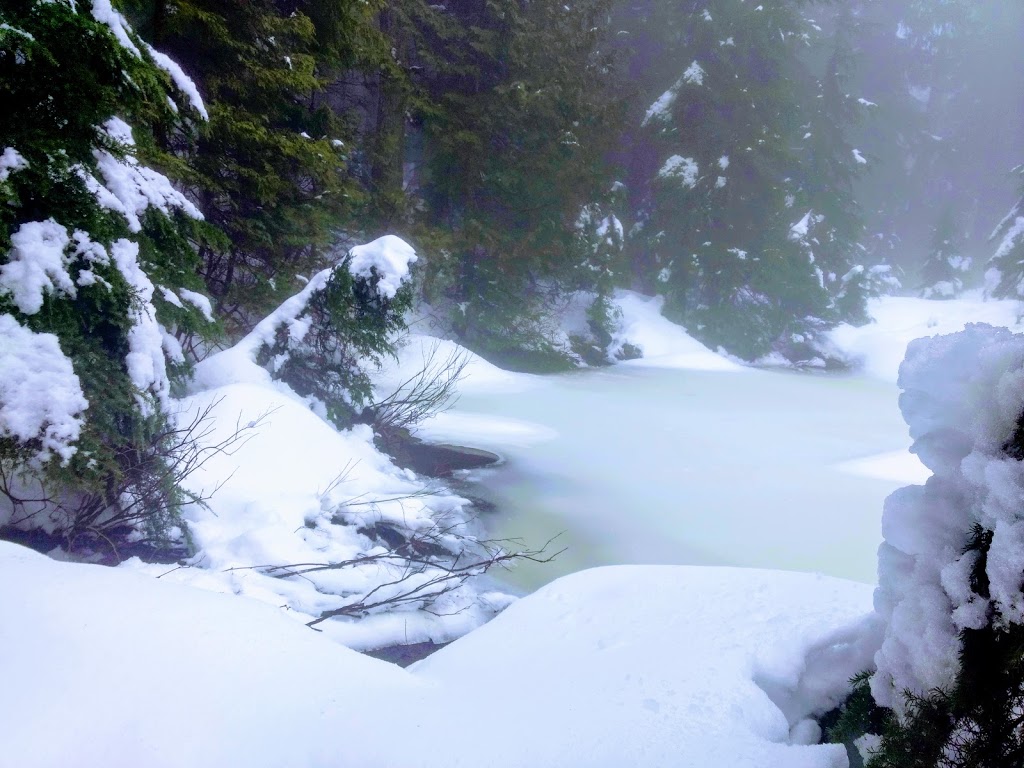 Blue Gentian Lake | West Vancouver, BC V0N 1G0, Canada