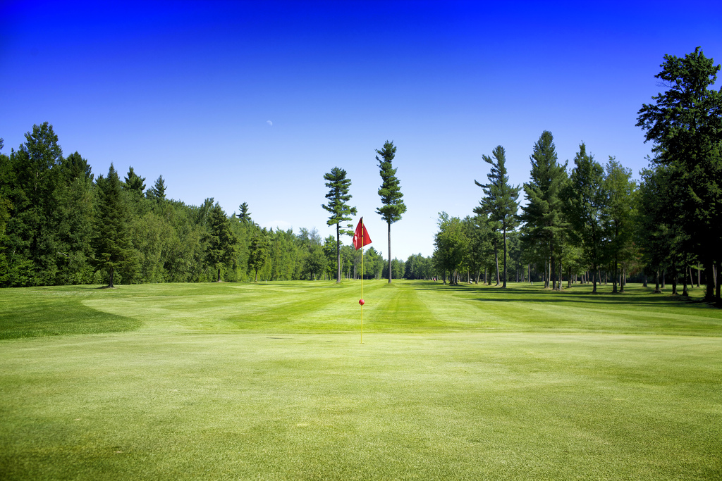 Vercheres Golf Club Inc. | 250 Montée du Moulin, Verchères, QC J0L 2R0, Canada | Phone: (450) 583-3319