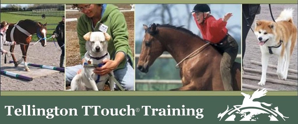 Tellington TTouch Training Canada | 5435 Rochdell Rd, Coldstream, BC V1B 3E8, Canada | Phone: (250) 545-2336