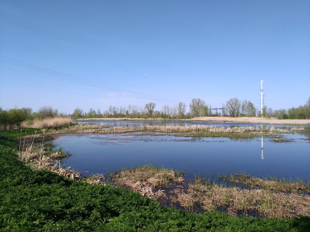 Parc de la Frayère | Boulevard Marie-Victorin, Boucherville, QC J4B 0B6, Canada