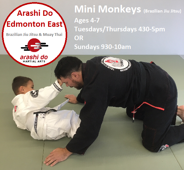 Arashi-Do Edmonton East | 12127 54th St. NW, Edmonton, AB T5W 3N4, Canada | Phone: (780) 479-0050