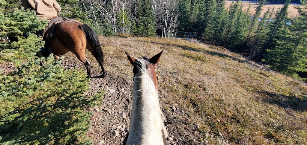 Saddle Peak Trail Rides | Alberta T0L 1N0, Canada | Phone: (403) 922-7430