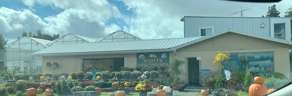 Scotts, J & D Greenhouses | 160 Huron Rd, Mitchell, ON N0K 1N0, Canada | Phone: (519) 348-8343