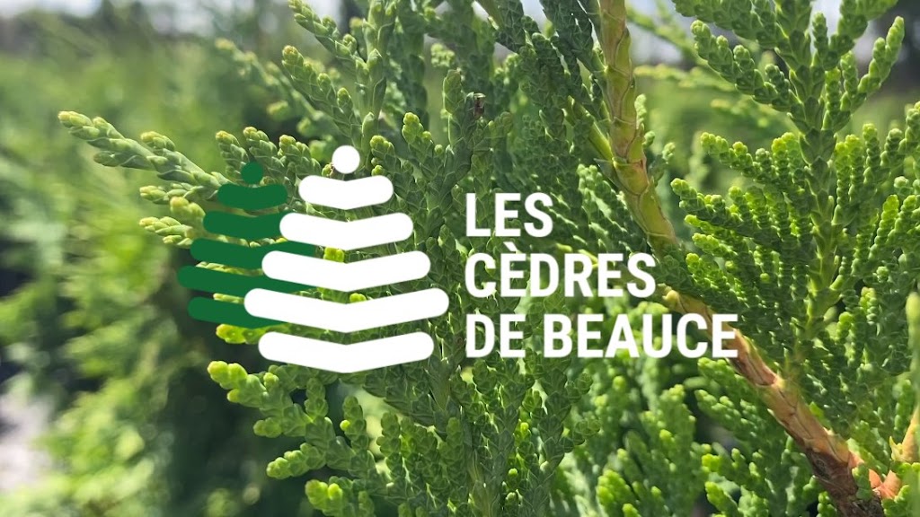 Cedars Beauce Inc. | 2013 Rte du Président-Kennedy, Saint-Isidore, QC G0S 2S0, Canada | Phone: (418) 882-6271