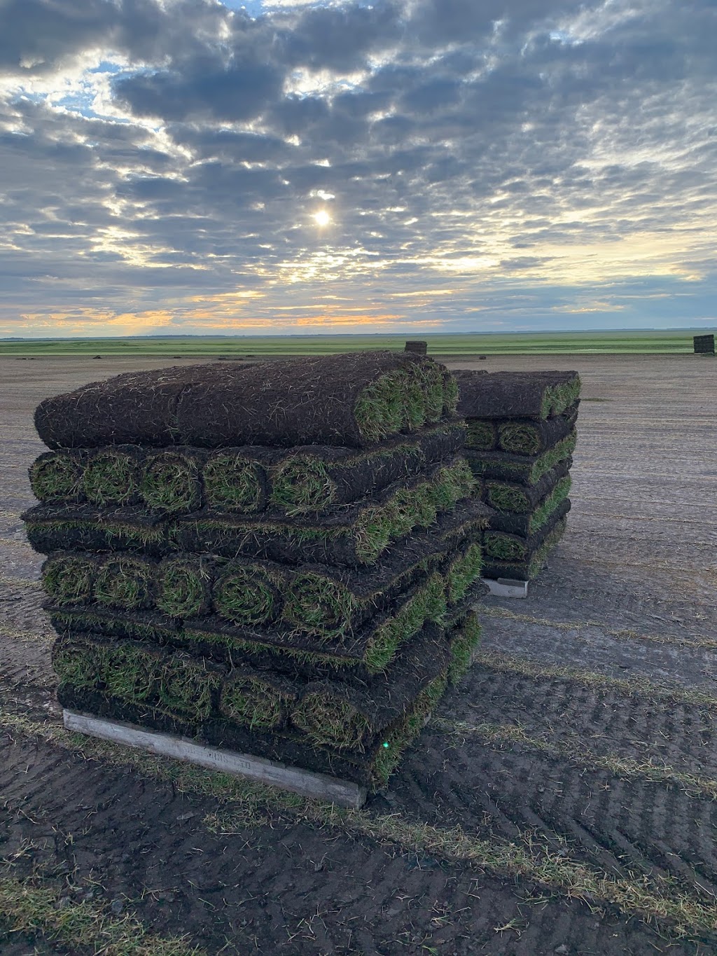 Lach Sod Farms | #84036 Rd 13E (corner of Road 84N & Road 13E), Balmoral, MB R0C 0H0, Canada | Phone: (855) 843-4222